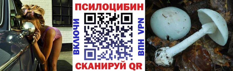 Галлюциногенные грибы Psilocybine cubensis  Липецк 
